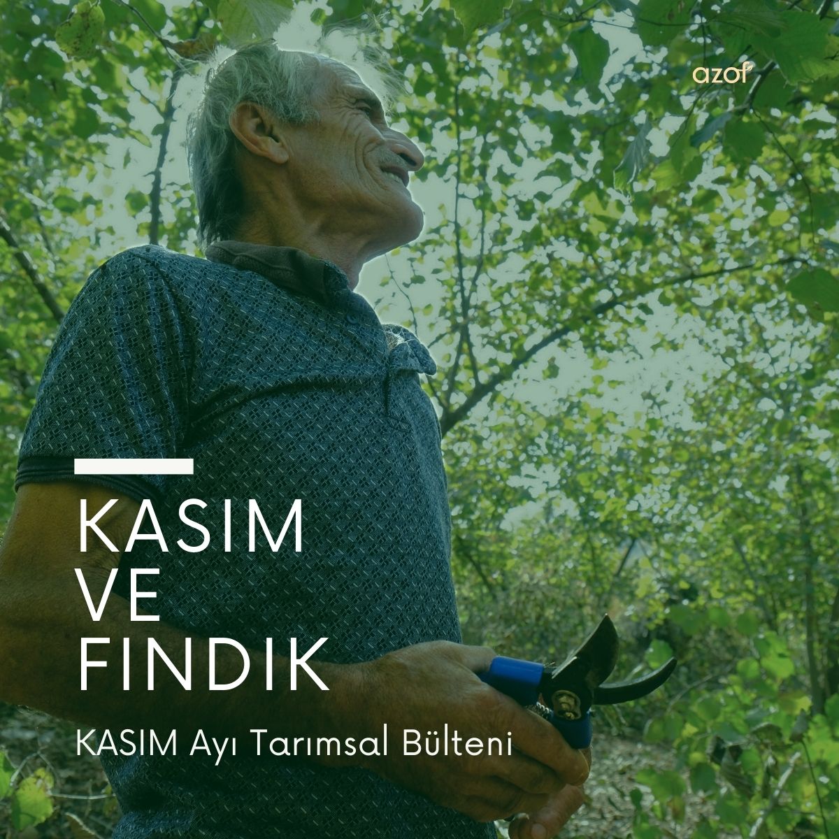 Kasım Ayı Tarım Bülteni