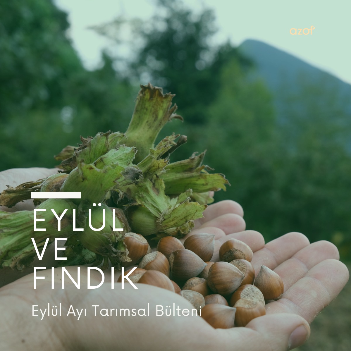 Eylül Ayı Tarımsal Bülteni