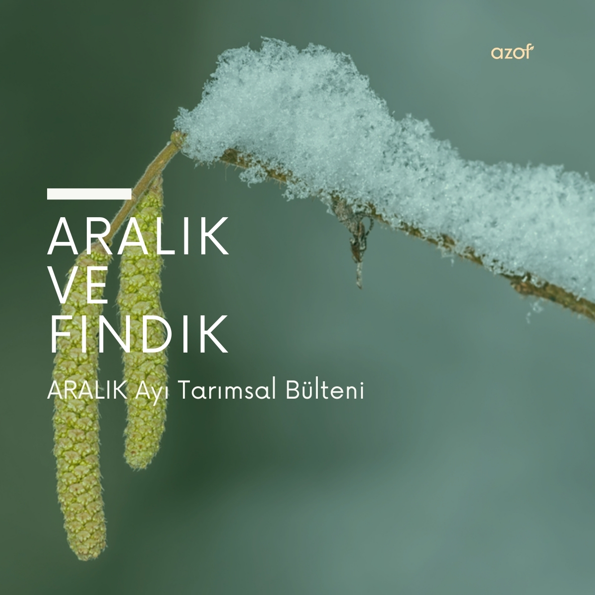 Aralık Ayı Tarımsal Bülteni