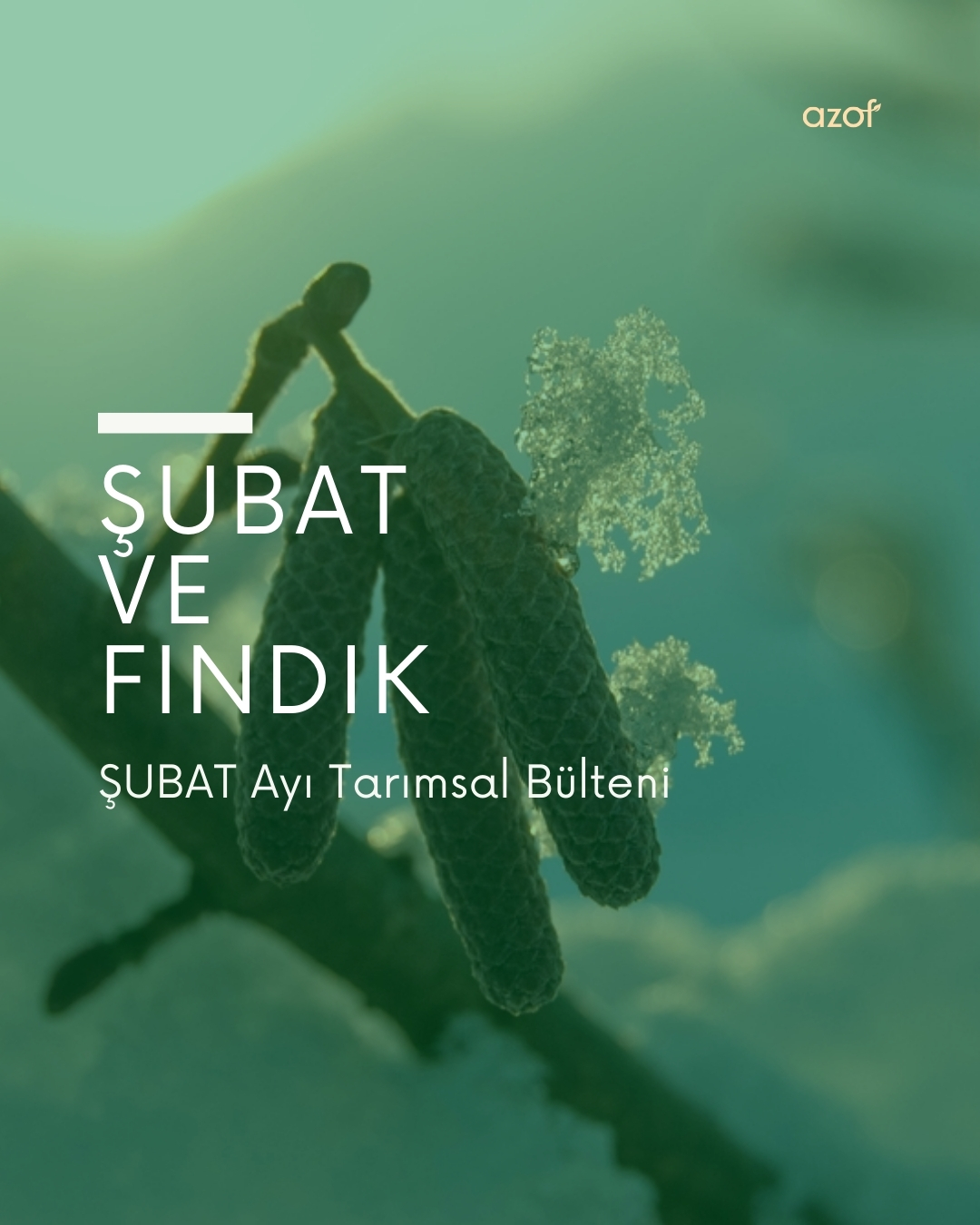 Subat Ayı Tarımsal Bülteni