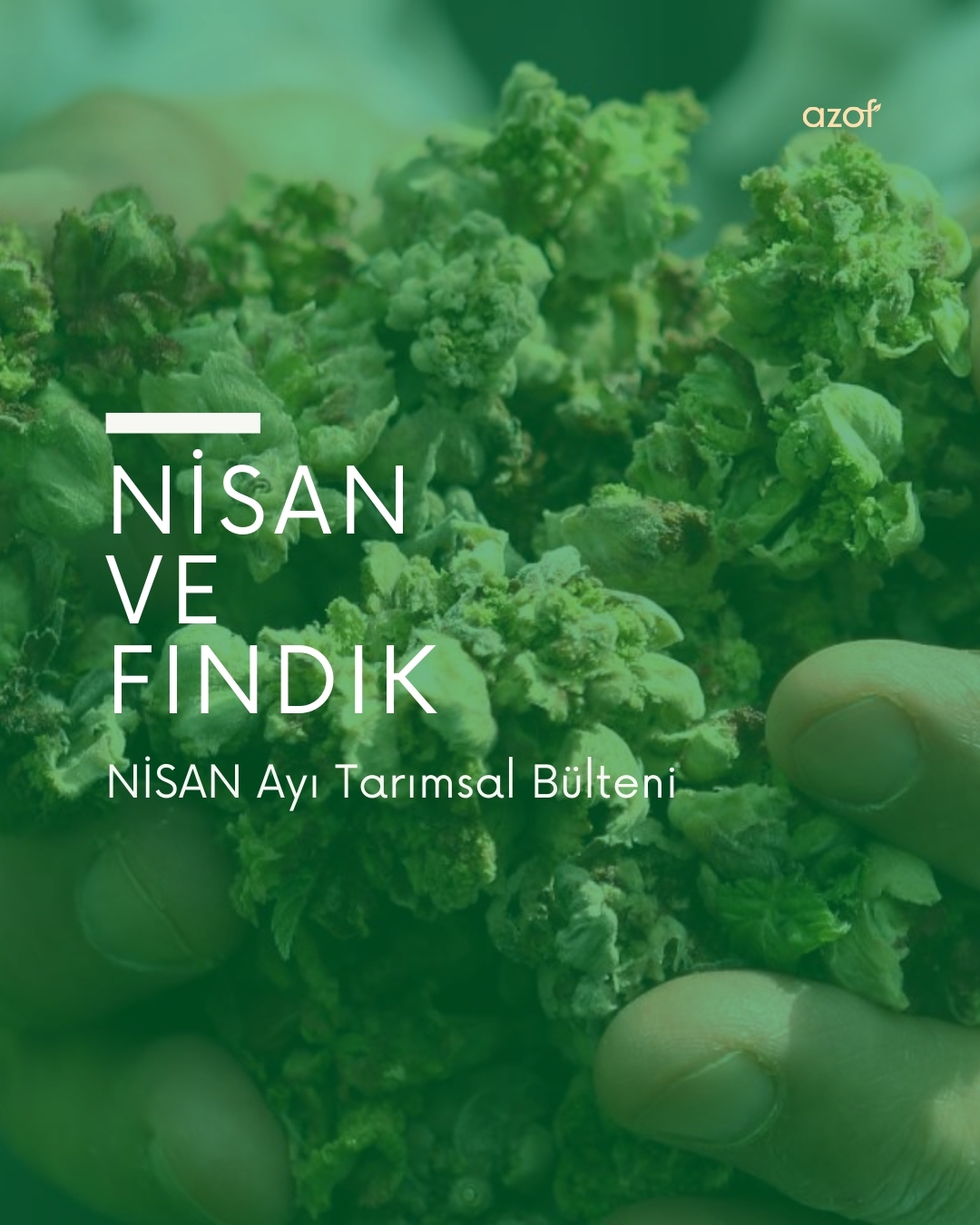 Nisan Ayı Tarım Bülteni