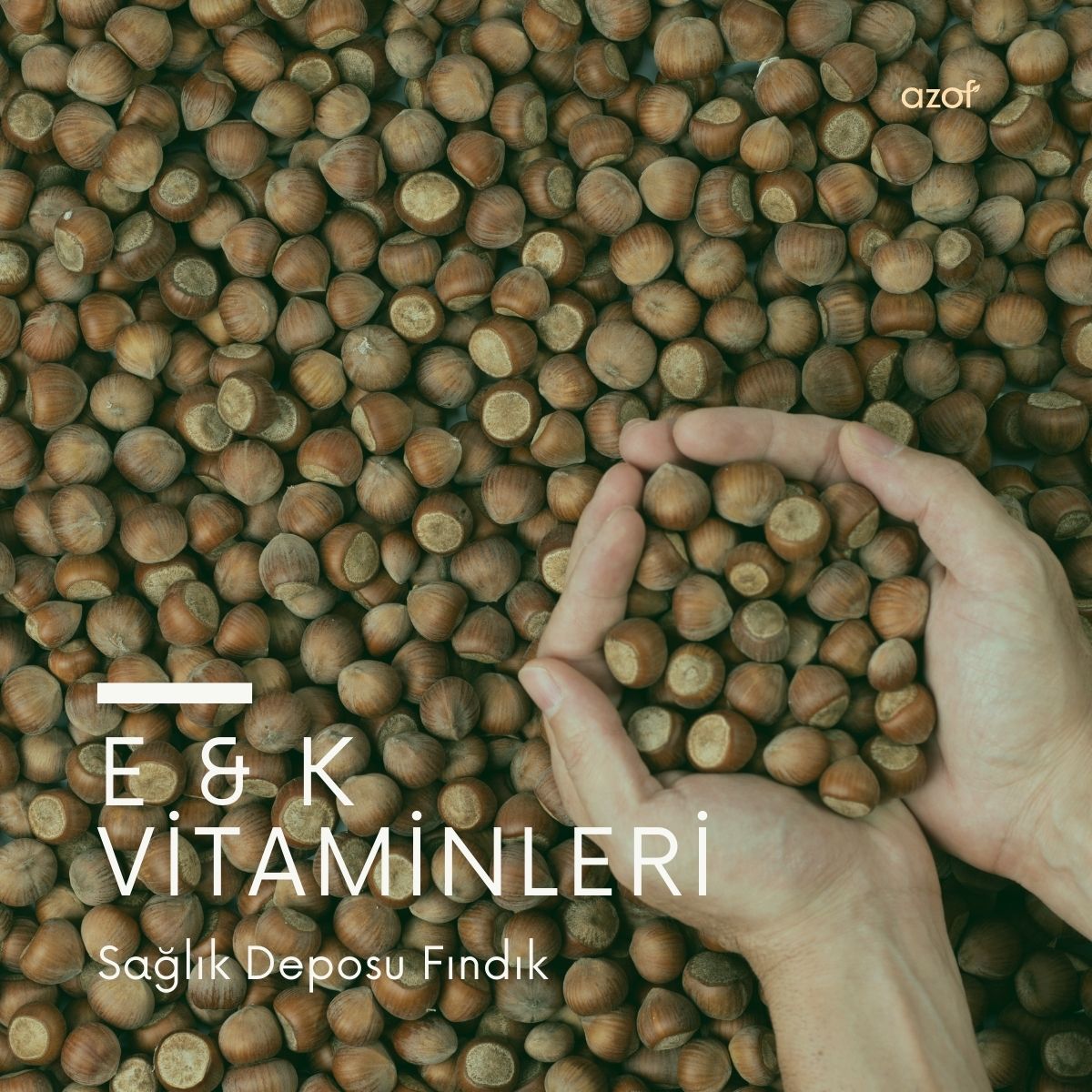 Fındık: E ve K Vitaminleriyle Zengin Bir Besin Deposu